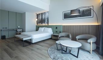 1 queensize-bett, nichtraucher, junior-suite, sofabett, balkon, kostenloses parken im parkhaus, kostenlose whirlpool-nutzung