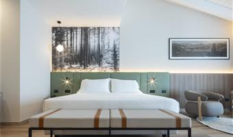 1 queensize-bett, nichtraucher, junior-suite, sofabett, balkon, kostenloses parken im parkhaus, kostenlose whirlpool-nutzung