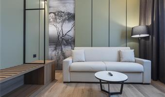 1 queensize-bett, nichtraucher, junior-suite, sofabett, balkon, kostenloses parken im parkhaus, kostenlose whirlpool-nutzung