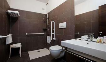 behindertengerechtes zimmer mit doppelbett, behindertengerecht ausgestattet, rollstuhlgerechte dusche, standardzimmer, französisches bett 140 cm, nichtraucher
