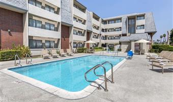 Pool of the Best Western Plus West Covina Inn - West Covina - 05473