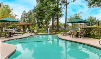 Pool of the Best Western John Muir Inn - Martinez - 05577