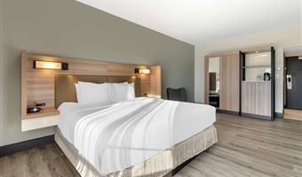 Room of the Best Western Plus Atlanta Airport-East - Hapeville - 11120