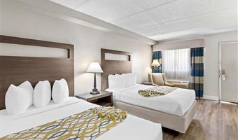 Room of the Best Western Naperville Inn - Naperville - 14164