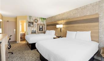 Room of the Best Western Glenview -Chicagoland Inn and Suites - Glenview - 14232