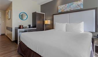 hotel in brooklyn 33131 f