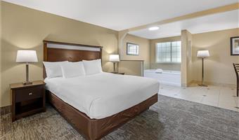 Room of the Best Western Plus Prairie Inn - Albany - 38166