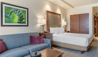 Room of the Best Western Premier Boulder Falls Inn - Lebanon - 38168