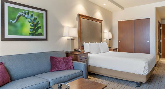 Room of the Best Western Premier Boulder Falls Inn - Lebanon - 38168