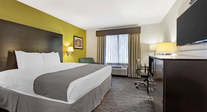 Room of the Best Western Magnolia Inn and Suites - Ladson - 41085