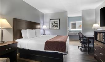 Room of the Best Western Lake Conroe Inn - Montgomery - 44537