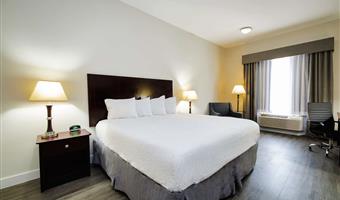 Room of the Best Western Sugarland Inn - Sugar Land - 44604