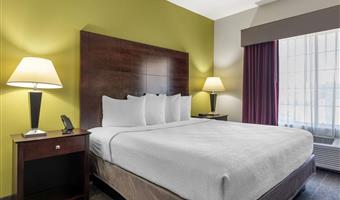 Room of the Best Western Plus Mansfield Inn & Suites - Mansfield - 44610
