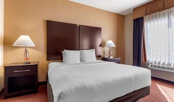 Suite of the Best Western Plus DFW Airport West Euless - Euless - 44719