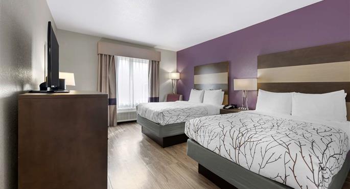 Room of the Best Western Plus Buda Austin Inn & Suites - Buda - 44737