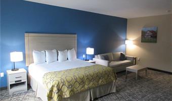 Suite of the Best Western Decatur Inn - Decatur - 44803