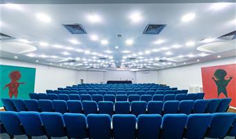 Meeting rooms of the Hotel Sakura, Sure Hotel Collection by Best Western - Naples - 56328