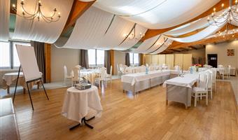 Meeting rooms of the Best Western Le Relais de Laguiole Hotel & Spa - Laguiole - 93486