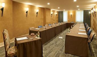 Meeting rooms of the Best Western Premier Hotel Bayonne Etche Ona - Bordeaux - Bordeaux - 93606