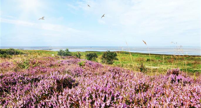 Best Western Hotel Das Donners - Cuxhaven - 95125