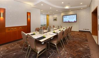 Meeting rooms of the Best Western Plus Delta Park Hotel - Mannheim - 95173