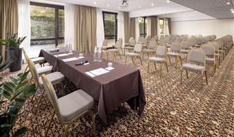 Meeting rooms of the Best Western Hotel Rome Airport - Roma Fiumicino - 98336