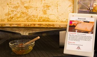 Restaurant of the Best Western Plus CHC Florence - Florence - 98367