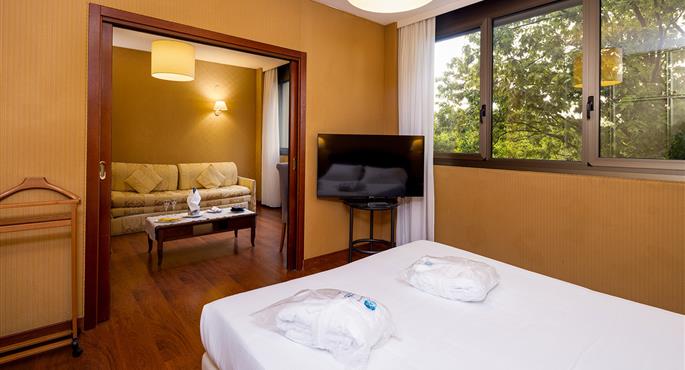 Best Western Air Hotel Linate - Milano Linate