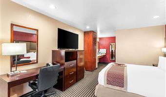 accessible - 1 king, mobility accessible, communication assistance, roll in shower, non-smoking, full breakfast