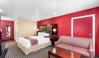 accessible - 1 king, mobility accessible, communication assistance, roll in shower, non-smoking, full breakfast