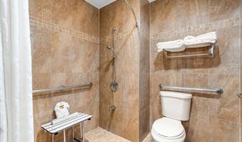 accessible - 1 king, mobility accessible, communication assistance, roll in shower, non-smoking, full breakfast