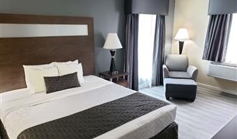 1 king bed, non-smoking, microwave and refrigerator, full breakfast