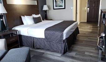 accessible - 1 king, mobility accessible, walk in shower, non-smoking, full breakfast