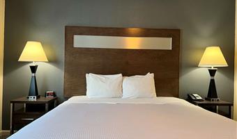 accessible - 1 king, mobility accessible, walk in shower, non-smoking, full breakfast