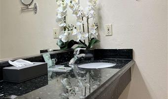 accessible - 1 king, mobility accessible, walk in shower, non-smoking, full breakfast