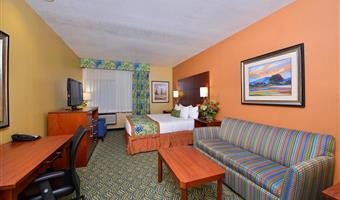 suite-1 king bed, non-smoking, sofabed, microwave and refrigerator, wi-fi, full breakfast