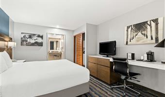 accessible - 1 king, mobility accessible, communication assistance, roll in shower, non-smoking, full breakfast