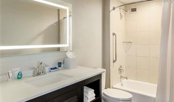 1 king bed, non-smoking, work desk, safe, mini fridge