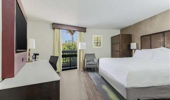 accessible - 1 queen, mobility accessible, roll in shower, shower bench, work desk, mini fridge, non-smoking