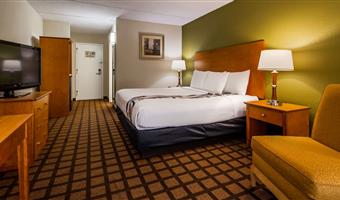 accessible - 1 king, mobility accessible, roll in shower, microwave and refrigerator, wi-fi, non-smoking