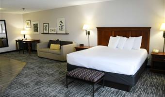 suite-1 king bed, non-smoking, sofabed for one person, kitchenette, full refrigerator, full breakfast
