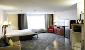 accessible - suite 1 king bed, mobility accessible, roll in shower, sofabed for one person, kitchenette, full refrigerator, non-smoking, full breakfast