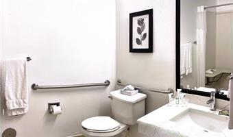 accessible - suite 1 king bed, mobility accessible, roll in shower, sofabed for one person, kitchenette, full refrigerator, non-smoking, full breakfast