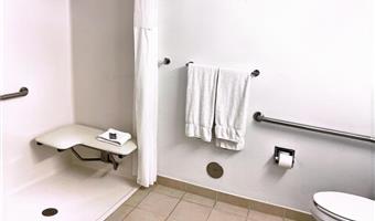 accessible - suite 1 king bed, mobility accessible, roll in shower, sofabed for one person, kitchenette, full refrigerator, non-smoking, full breakfast