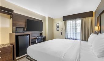 1 king bed, non-smoking, microwave, refrigerator, high speed internet access, full breakfast