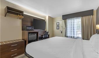 1 king bed, non-smoking, pet friendly room, microwave and refrigerator, wi-fi, full breakfast