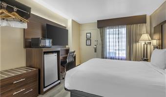 1 king bed, non-smoking, pet friendly room, sofabed, microwave and refrigerator, wi-fi, full breakfast