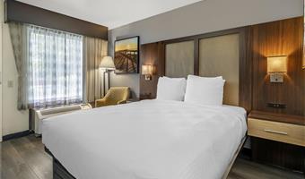 accessible - 1 queen, mobility accessible, roll in shower, pet friendly room, microwave and refrigerator, wi-fi, non-smoking, full breakfast