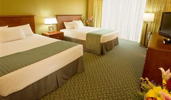 panorama room - 2 queens, view room, 12th floor, floor to ceiling windows, flat screen television, refrigerator, coffee maker