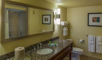 majestic suite - 1 king, colorado river view, separate living room, sofabed, dining area, wet bar, refrigerator